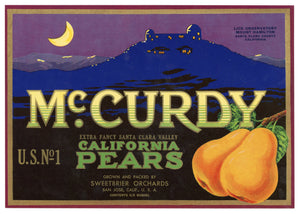 Vintage, Unused McCURDY Brand Pear, Fruit Crate Label || San Jose, Santa Clara Co., Ca.