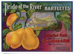Vintage, Unused PRIDE OF THE RIVER Pear, Fruit Crate Label || Locke, Ca.