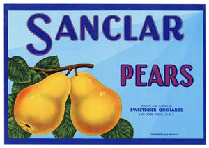 Vintage, Unused SANCLAR Pears Fruit Crate Label || San Jose, Ca.
