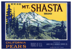 Vintage, Unused MT. SHASTA Brand Pear Fruit Crate Label || Hamilton City, Ca.