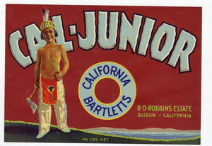 Vintage, Unused CAL-JUNIOR Pear Fruit Crate Label || Suisun, Ca.