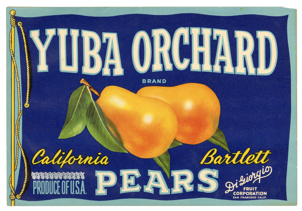 Vintage, Unused YUBA ORCHARD Pear Fruit Crate Label || San Francisco, Ca.