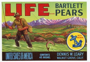Vintage, Unused LIFE Brand Pear Fruit Crate Label, Fly Fishing || Walnut Grove, Ca.