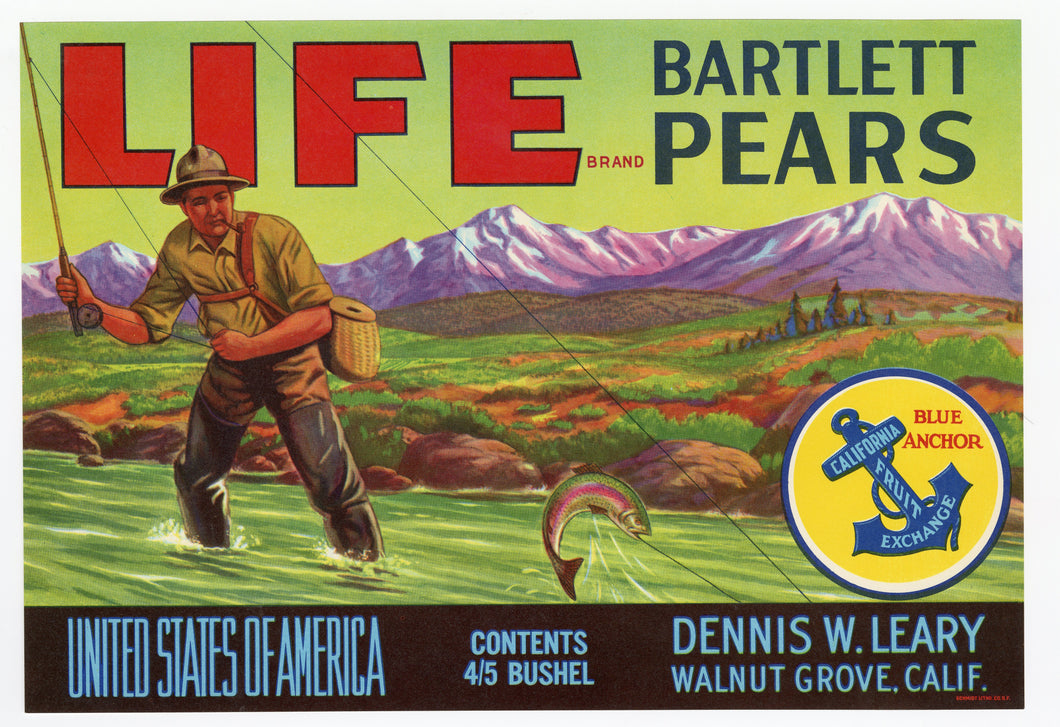 Vintage, Unused LIFE Brand Pear Fruit Crate Label, Fly Fishing
