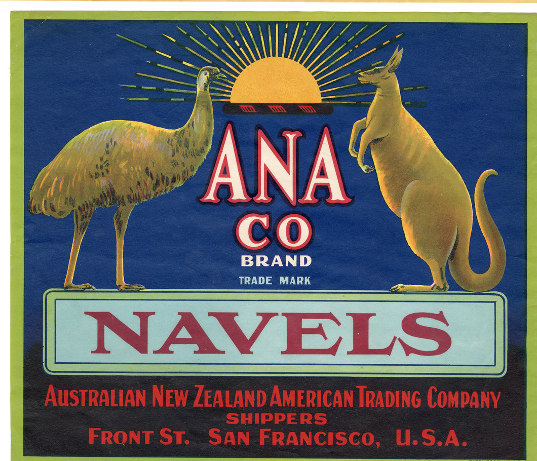 Vintage, Unused ANA CO. Navel Orange Fruit Crate Label || San Francisco, Ca.
