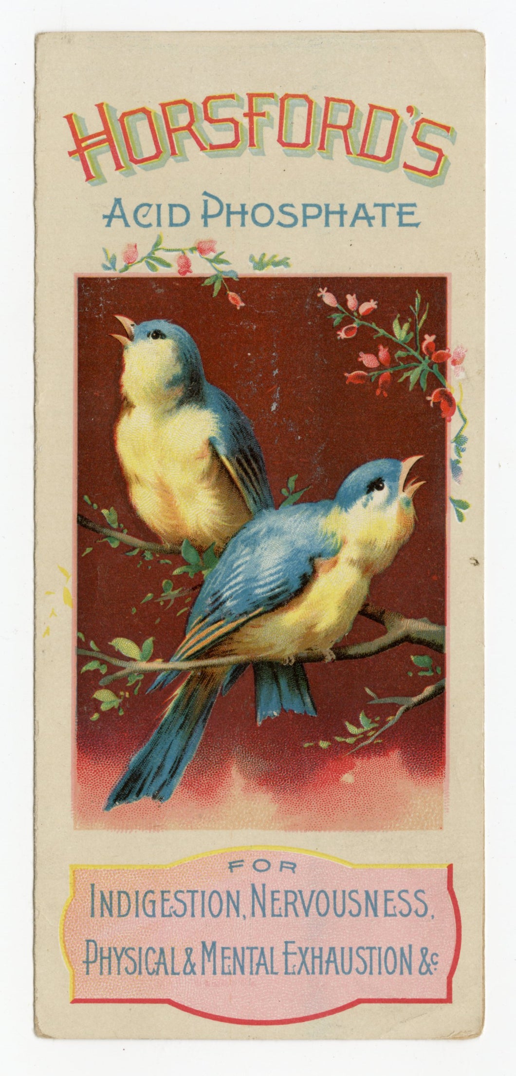 Antique HORSFORD'S ACID PHOSPHATE Quack Medicine, Trade Card Pamphlet 