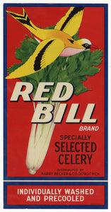 Vintage, Unused RED BILL Celery Vegetable Crate Label || Detroit, Michigan
