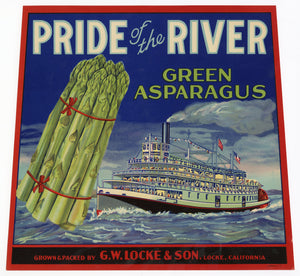 Vintage, Unused PRIDE OF THE RIVER Asparagus Vegetable Crate Label || Locke, Ca.