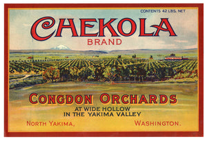 Vintage, Unused CHEKOLA Brand Apple Fruit Crate Label || North Yakima, Washington