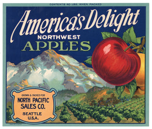 Vintage, Unused AMERICA'S DELIGHT Apple Fruit Crate Label || Seattle, Washington