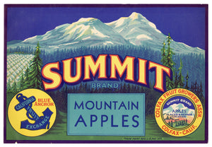 Vintage, Unused SUMMIT Brand Apple Fruit Crate Label || Colfax, Ca.