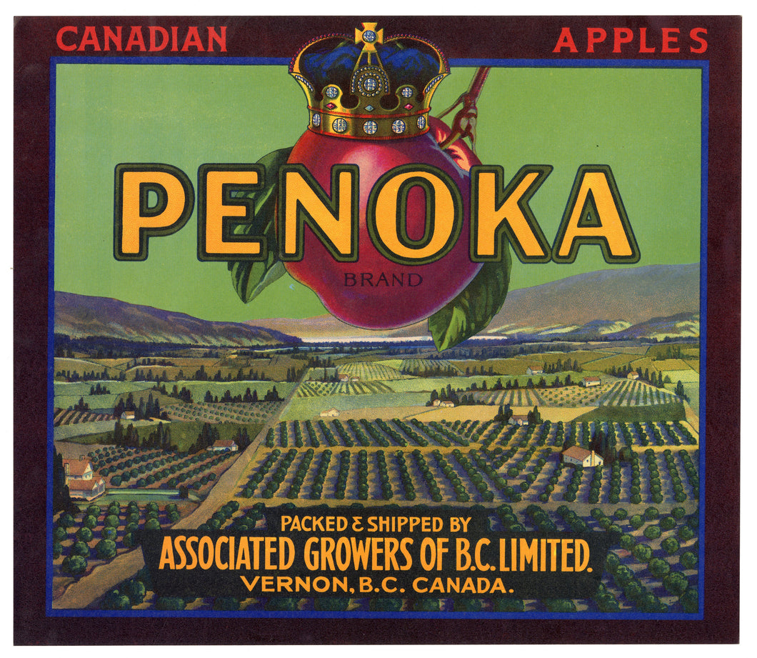 Vintage, Unused PENOKA Brand Apple Fruit Crate Label || Vernon, B.C., Canada