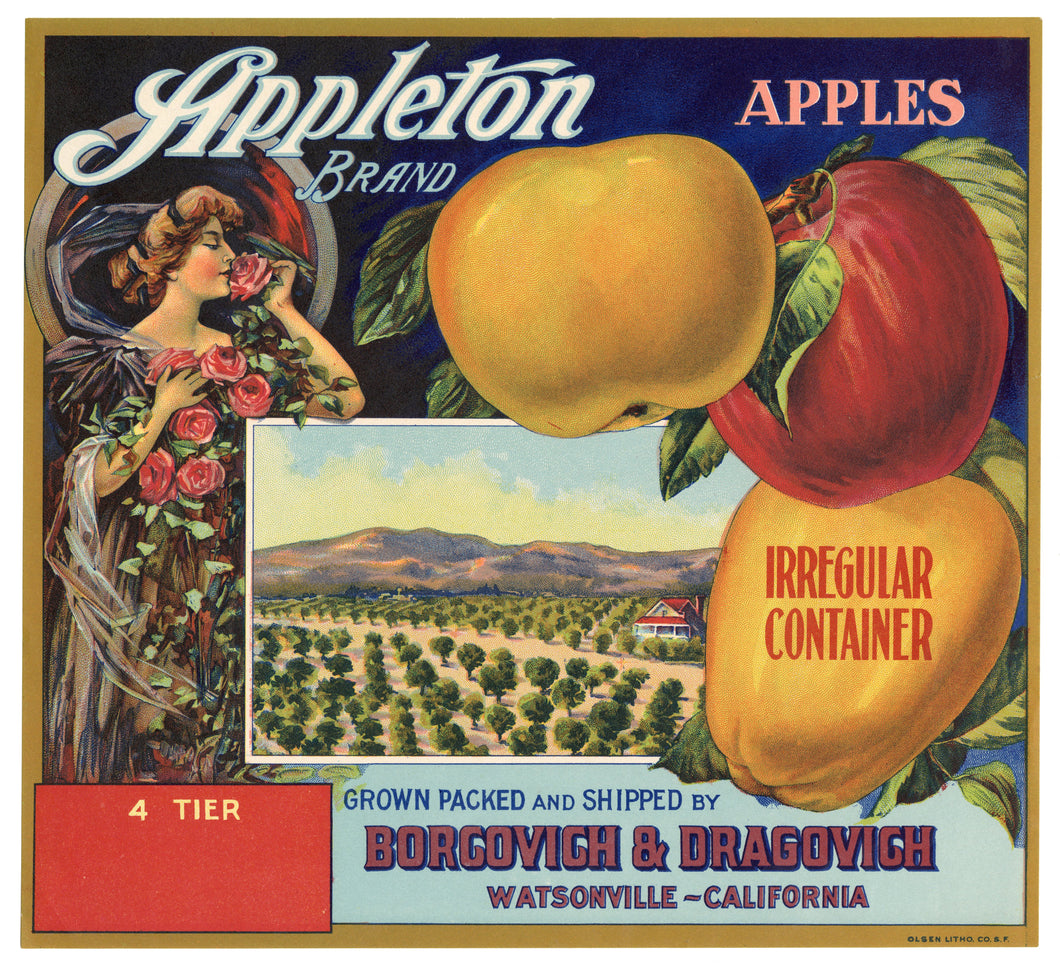 Vintage, Unused APPLETON Brand Apple Fruit Crate Label || Watsonville, Ca.