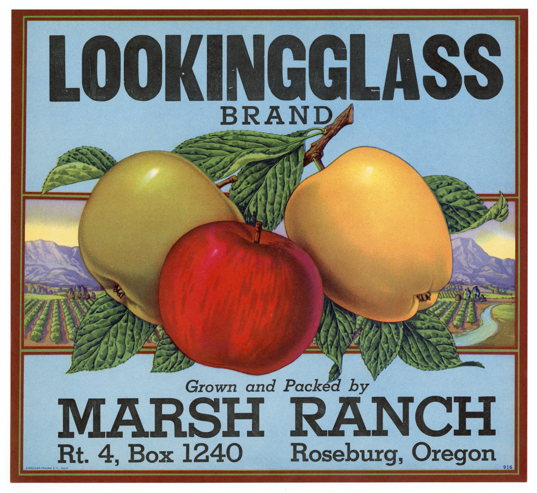 Vintage, Unused LOOKING GLASS Brand Apple Fruit Crate Label || Roseburg, Oregon