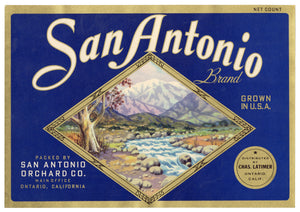 Vintage, Unused SAN ANTONIO Brand Apple Crate Label || Ontario, Ca.