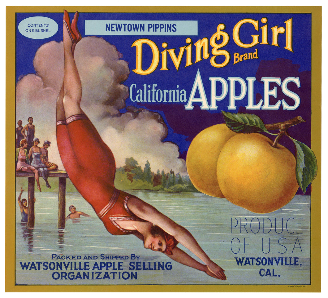 Vintage, Unused DIVING GIRL Brand Apple Crate Label || Watsonville, Ca.