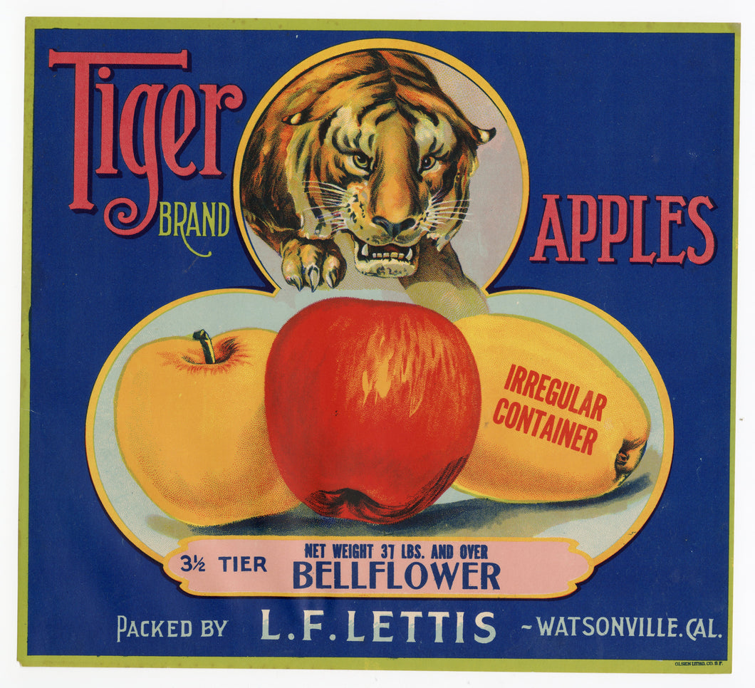 Vintage, Unused TIGER Brand Apple Crate Label, Bellflower || Watsonville, Ca.