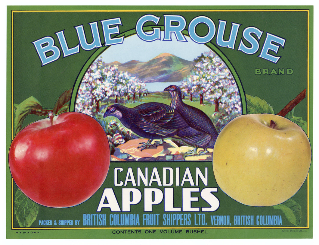 Vintage, Unused BLUE GROUSE Brand Canadian Apple, Fruit Crate Label || Vernon, B.C.