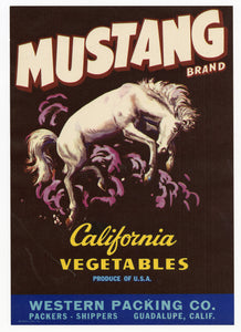 Vintage, Unused MUSTANG Brand Vegetable Crate Label, Horse || Guadalupe, Ca.