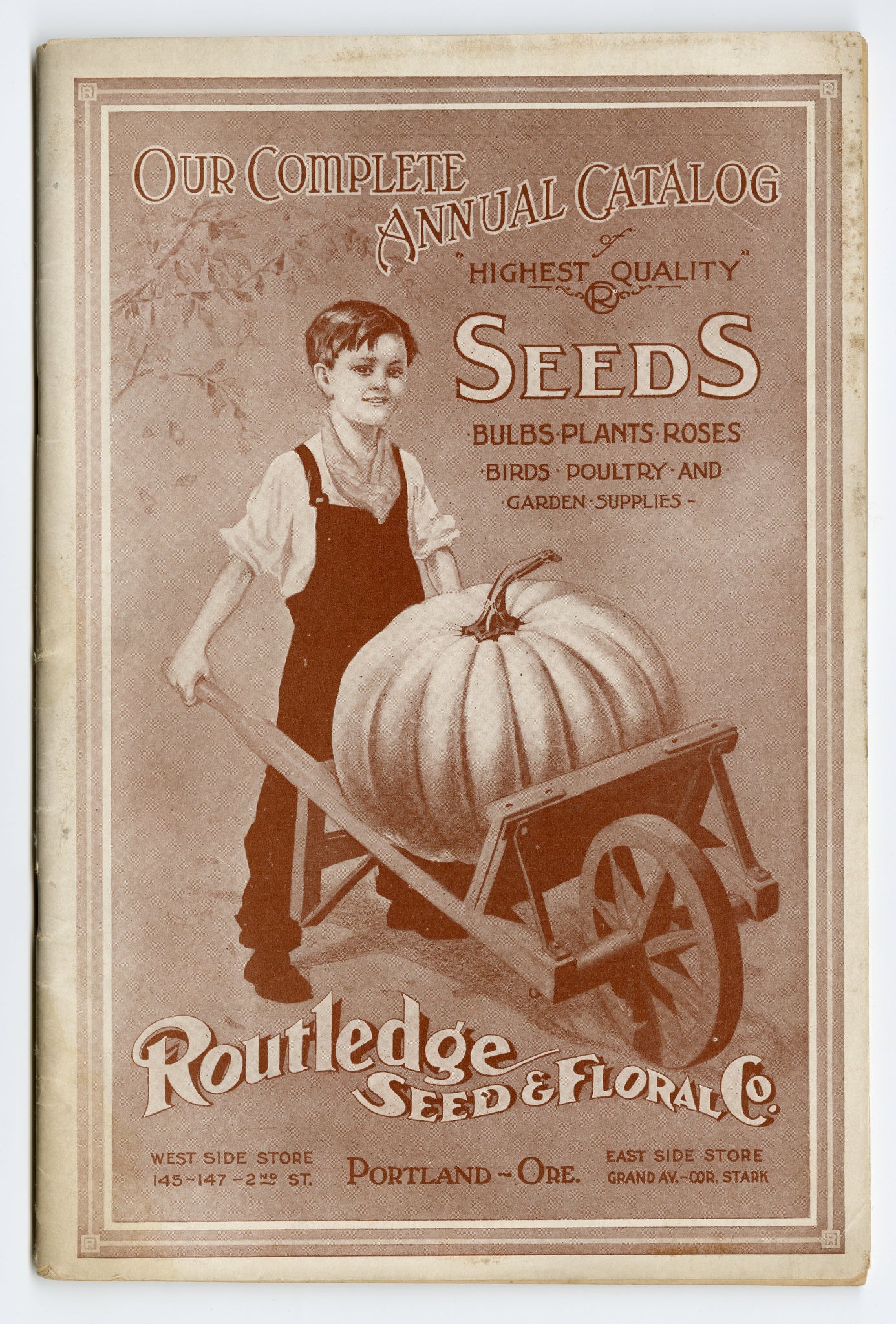 flower seed company catalogs 1928 Antique ROUTLEDGE SEED & FLORAL CO. Seed Catalog, Farming, Plants – TheBoxSF