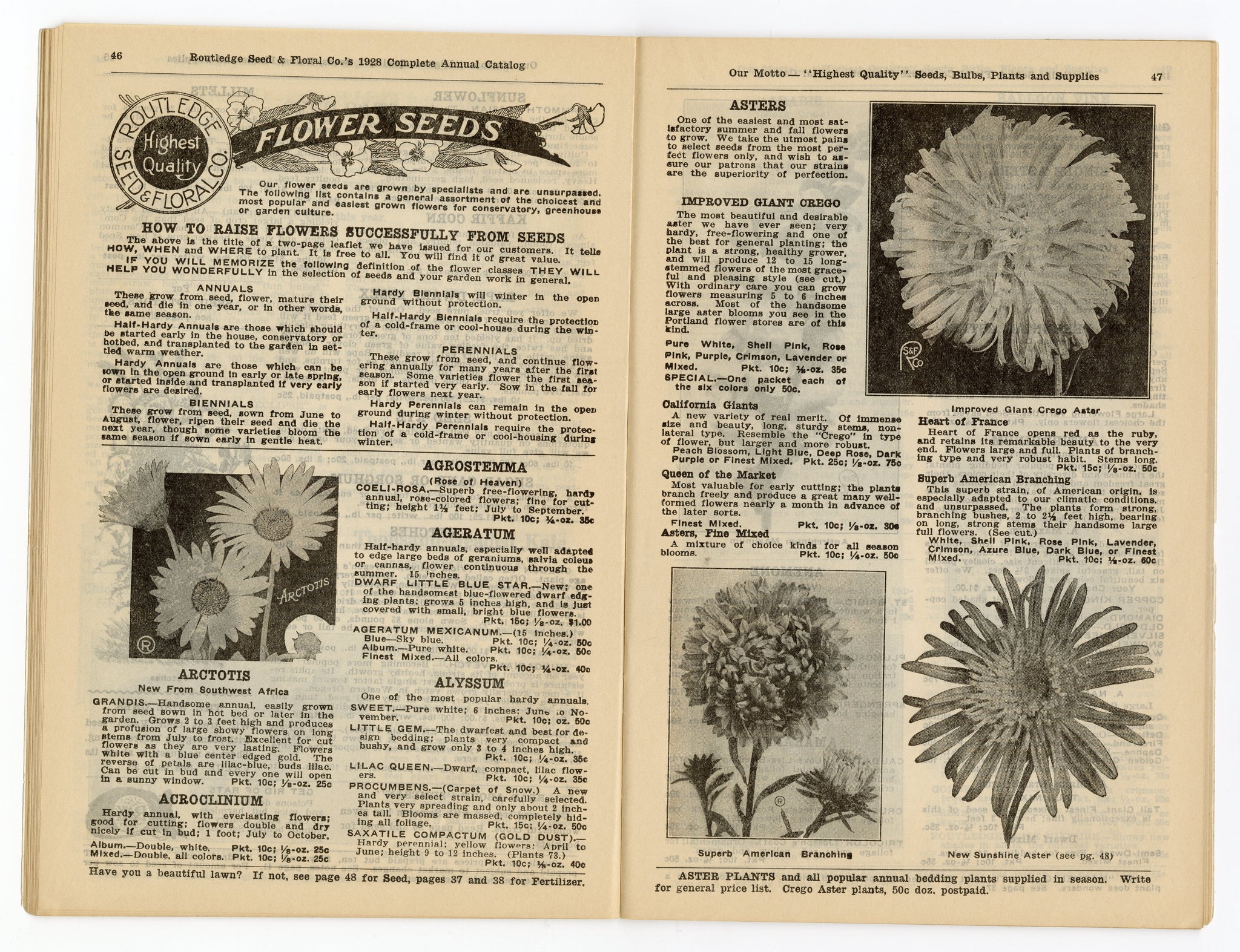 flower seeds catalog 1928 Antique ROUTLEDGE SEED & FLORAL CO. Seed Catalog, Farming, Plants – TheBoxSF