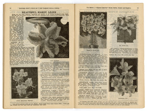 1928 Antique ROUTLEDGE SEED & FLORAL CO. Seed Catalog, Farming, Plants
