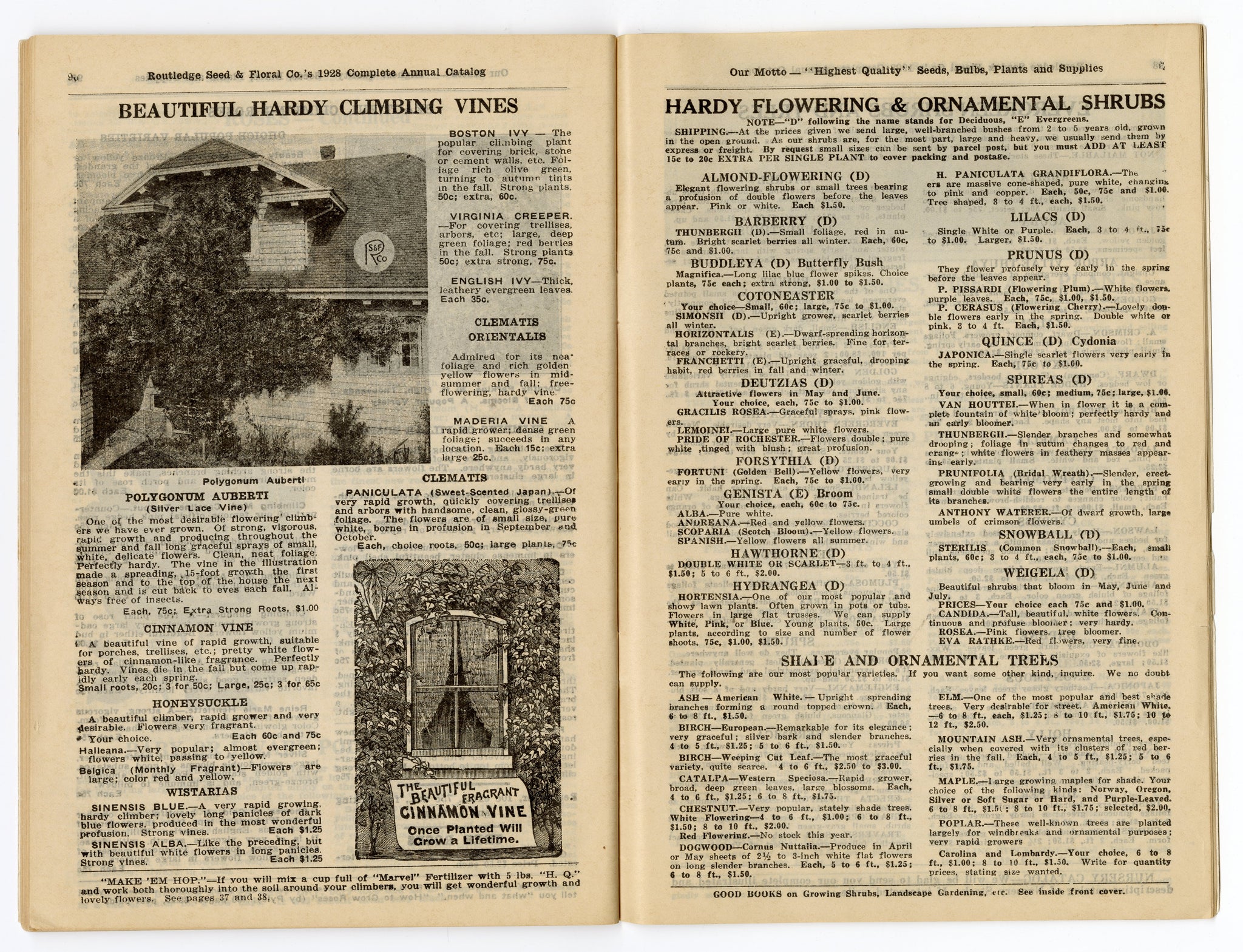 1928 Antique ROUTLEDGE SEED & FLORAL CO. Seed Catalog, Farming, Plants