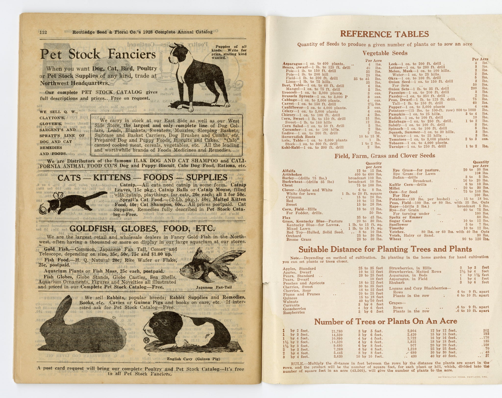 1928 Antique ROUTLEDGE SEED & FLORAL CO. Seed Catalog, Farming, Plants