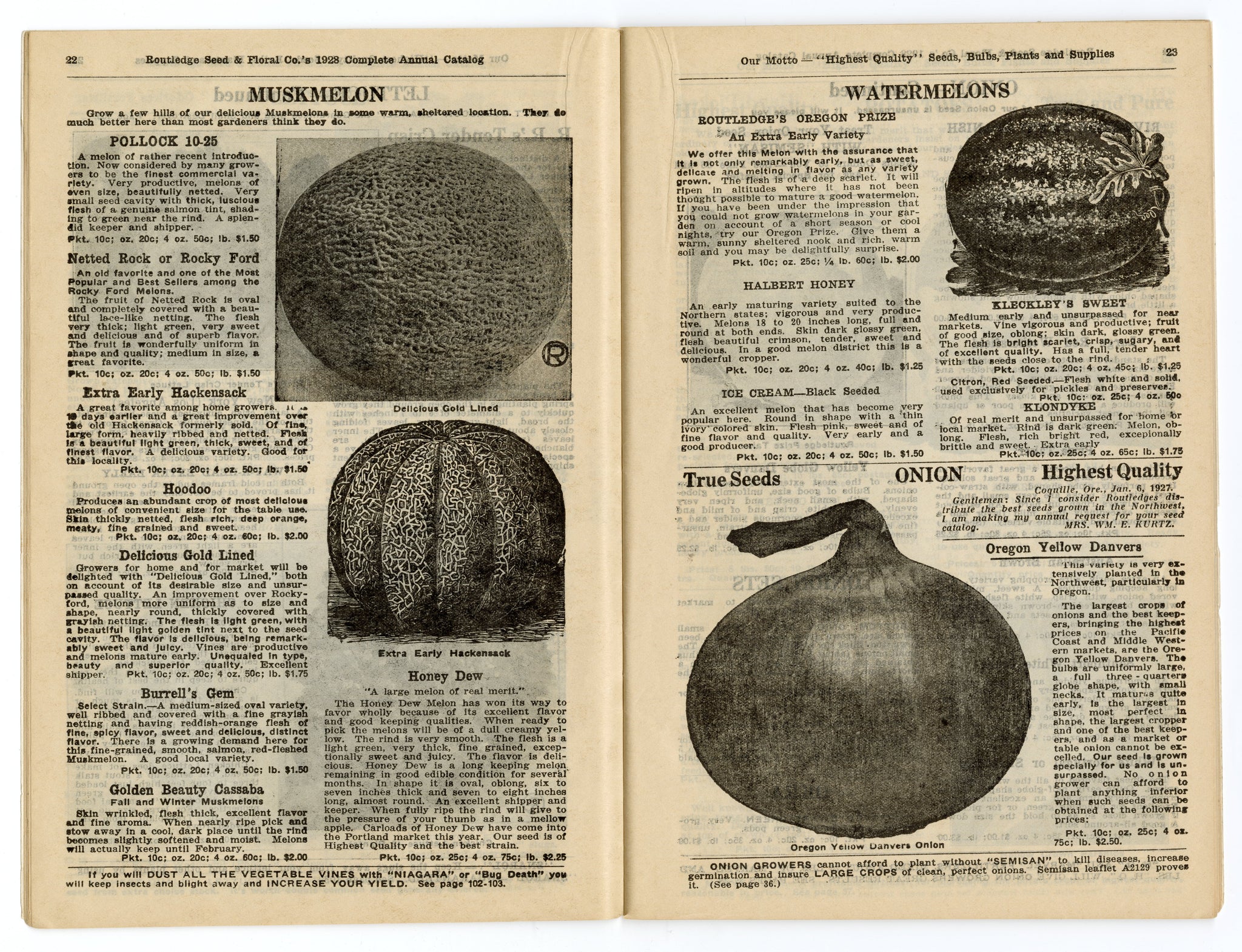 1928 Antique ROUTLEDGE SEED & FLORAL CO. Seed Catalog, Farming, Plants