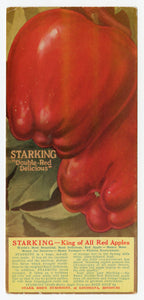 Vintage, Unused STARKING DOUBLE RED DELICIOUS Apple Blotter || Louisiana, Missouri