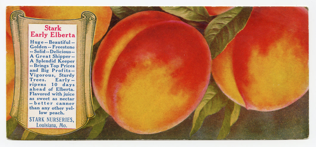 Vintage, Unused STARK EARLY ELBERTA Yellow Peach Blotter || Louisiana, Mo.
