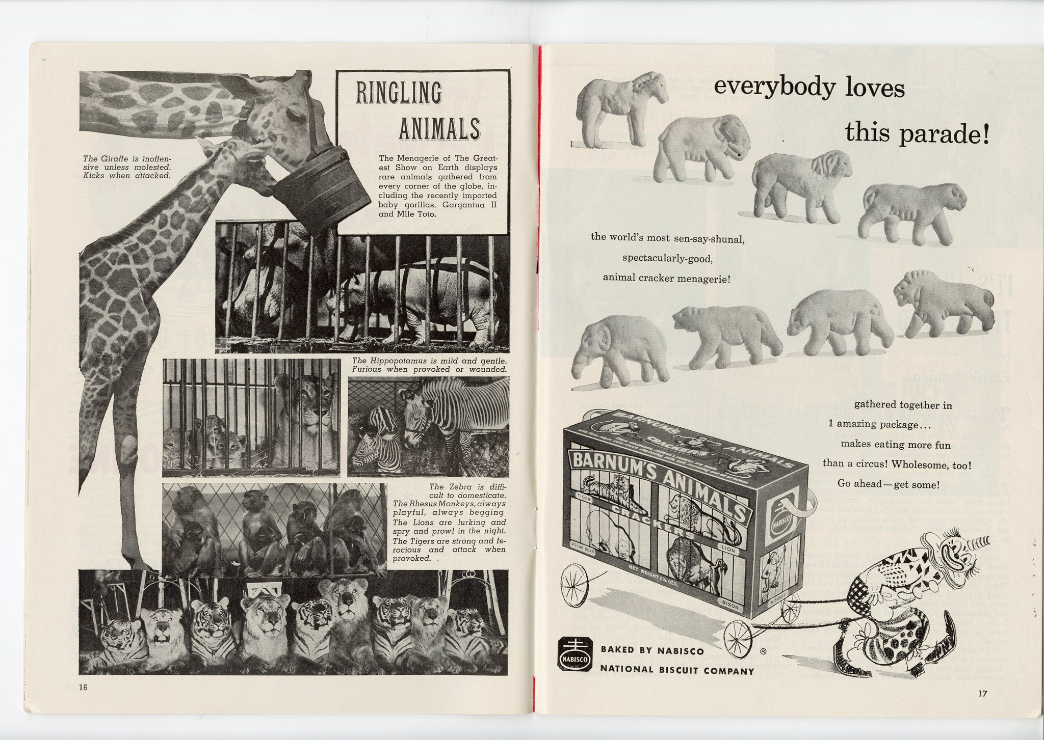 1951 Vintage RINGLING BROS. & BARNUM & BAILEY Circus Magazine TheBoxSF