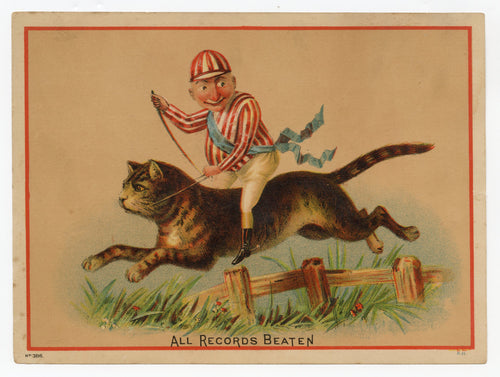 Antique Victorian Square Splendid FURNACE TRADE CARD, Jockey Riding Large Cat