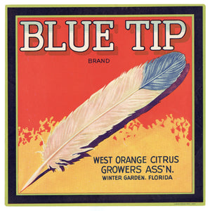 Vintage, Unused BLUE TIP Orange Fruit Crate Label || Winter Garden, Florida