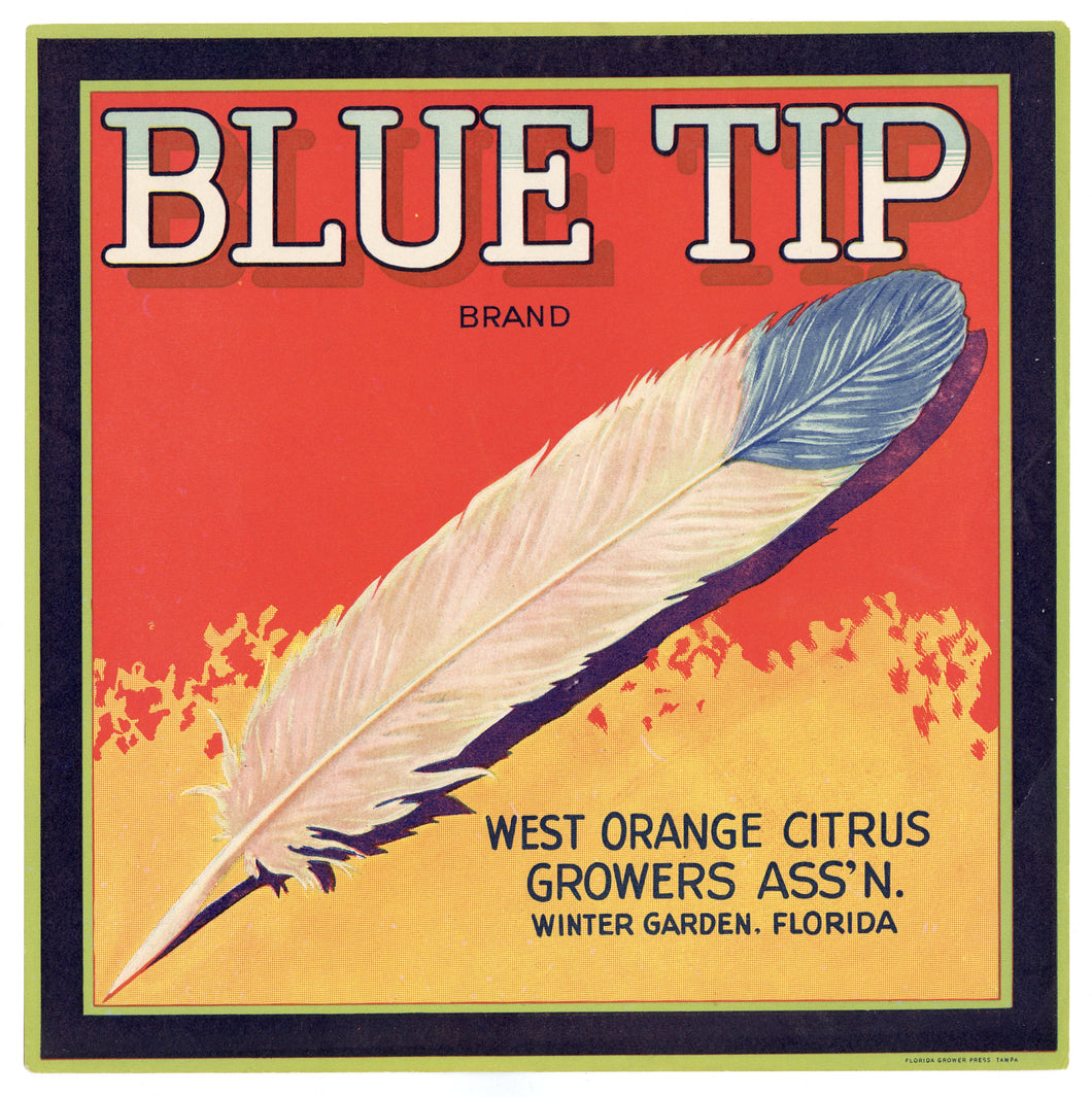 Vintage, Unused BLUE TIP Orange Fruit Crate Label || Winter Garden, Florida