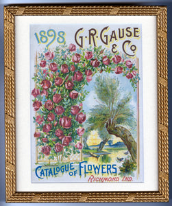 1898 G.R. Gause & Co. CATALOGUE OF FLOWERS || Framed Magazine