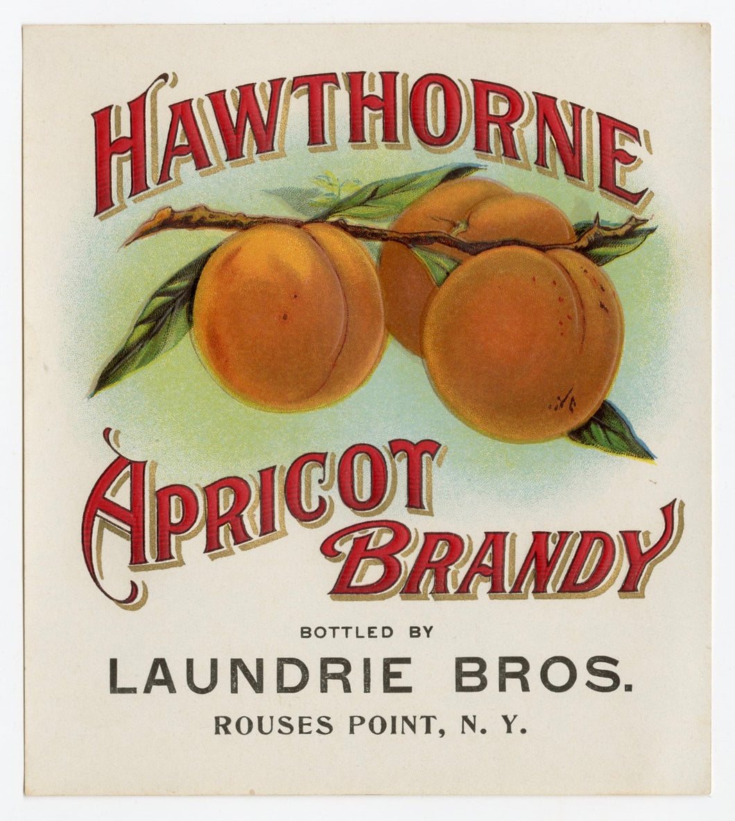 Antique, Unused Hawthorne APRICOT BRANDY LABEL, Alcohol, Cognac