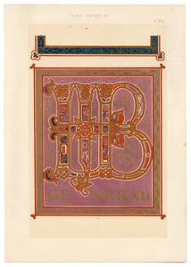 Beautiful Chromolithograph Book Plate Illuminated Letters About 100 Years Old - Plate Number 13