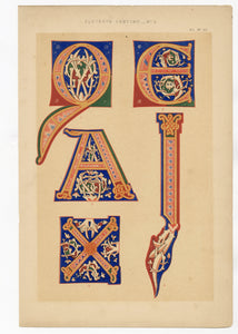 Beautiful Chromolithograph Book Plate Illuminated Letters About 150 Years Old - Plate Number 25